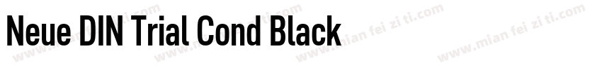 Neue DIN Trial Cond Black字体转换